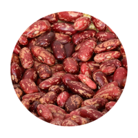 Red Spickled Kidney bean